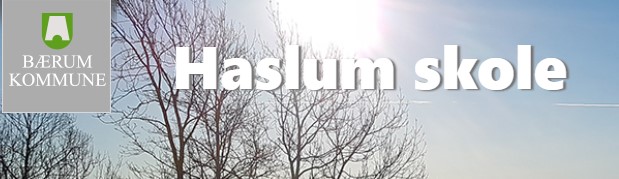 Haslum skole Haslum skole